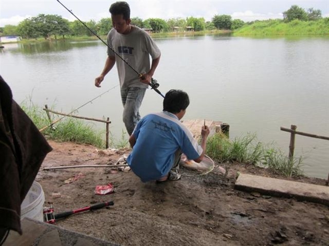 บึงปลาบึกครับ
