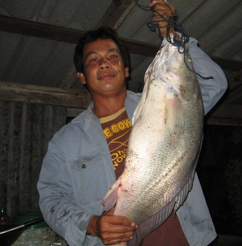 ลองส่งคราบ