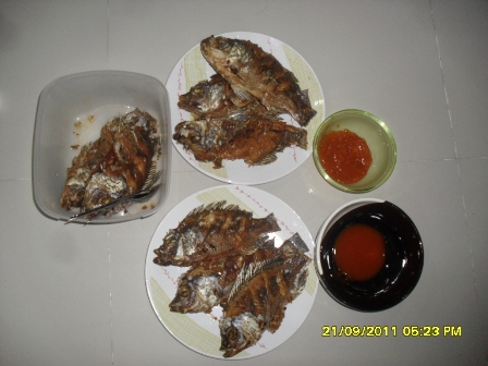ิBELL ABU ROCK  ไปตกปลา ..บึงสำราญ พบ  กับ พี่โปรก
