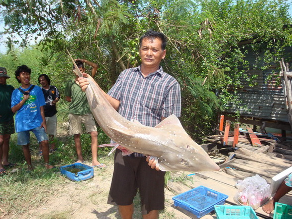 ออกรอบกับเรือใหม่ไต๋เจต