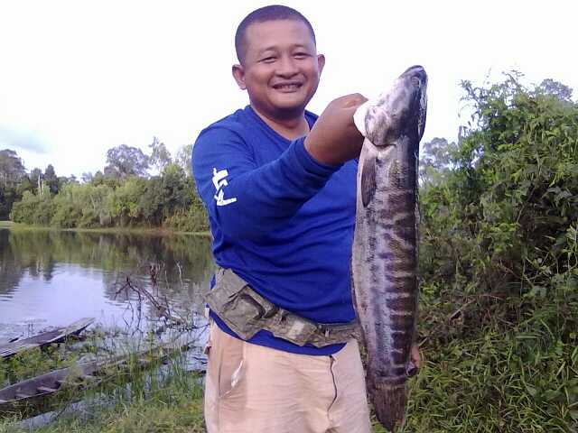 ตีปลาหน้าน้ำท่วม