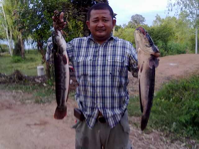 ตีปลาหน้าน้ำท่วม