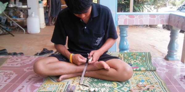 ตามหาต้นโมก