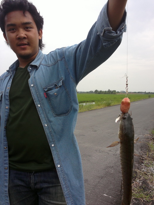ตากฝนตีช่อน 