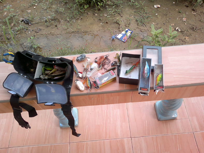 แม่ยายอยากได้ปลามาทำน้ำยา