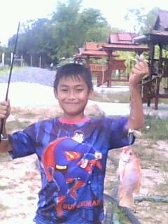 น้าๆอยากเห็นรูปน้องเเมนไหมครับ