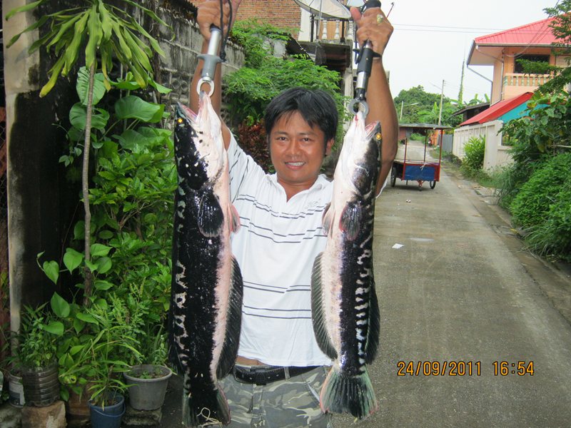 วันเสาร์มีเวลา..