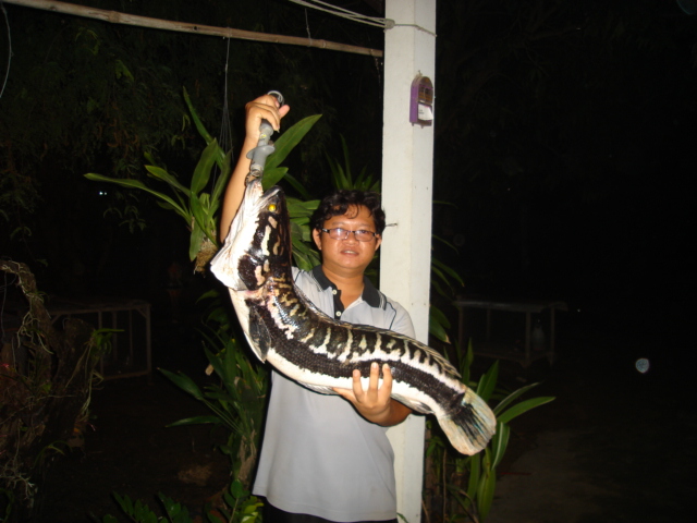 เก็บตกทริปที่ท่าตูม  