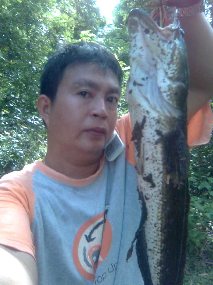 =======     ช่อนลำปาง  ======