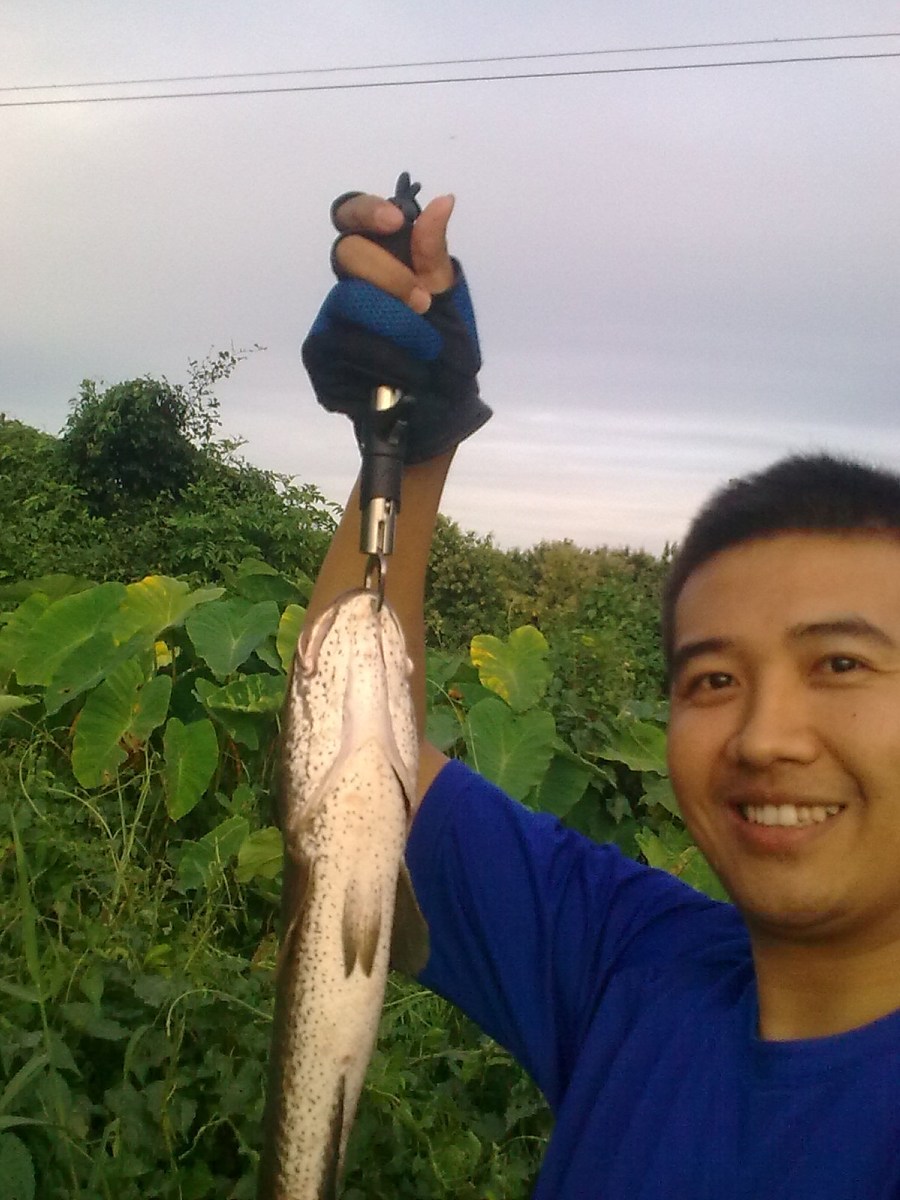 =======     ช่อนลำปาง  ======