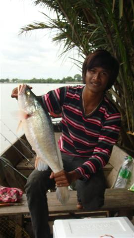ตกม้าที่บางปะกงbyไต๋เปรี้ยว