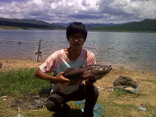 เก็บตก ที่แม่ประจันต์