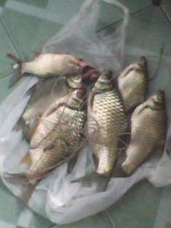 ภาพเก่าๆเอามาดูใหม่