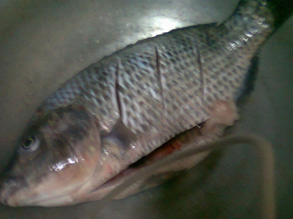 มื้อนี้เซาบ่กินป่น แต่สิกินต้มซดน้ำ