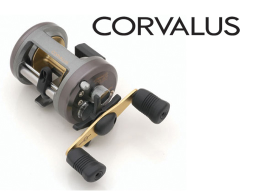 Shimano Corvalus 401 กับ  daiwa proteus 300 