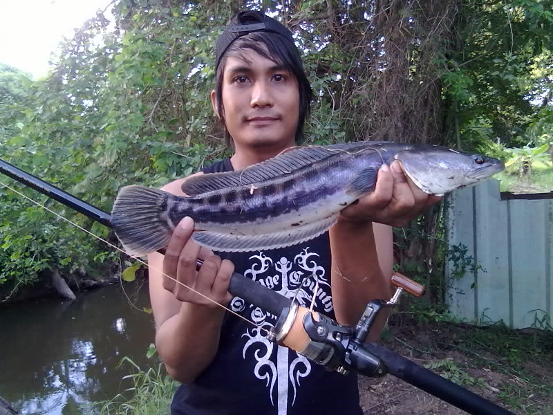 สมาชิกใหม่คับ....ลองส่ง....