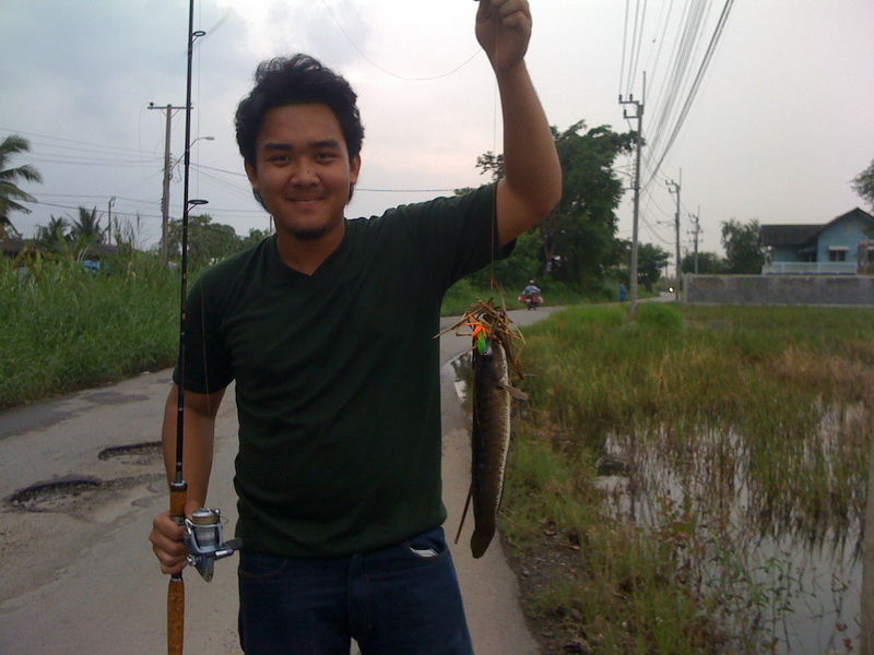 ช่อนน้อยกับกบ donly