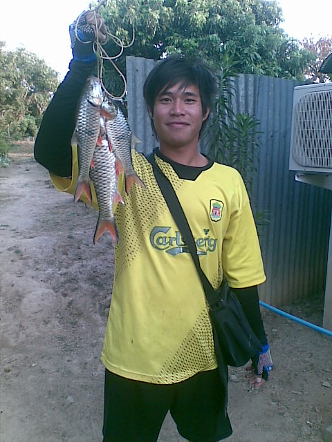 ตีกระสูบแม่วัง