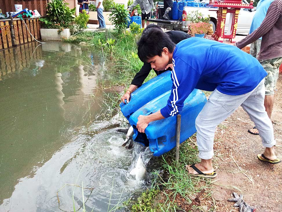 ไปดูเค้าลงปลาใหม่...ที่ ฟรีสไตล์ฟิชชิ่งปาร์คมา...