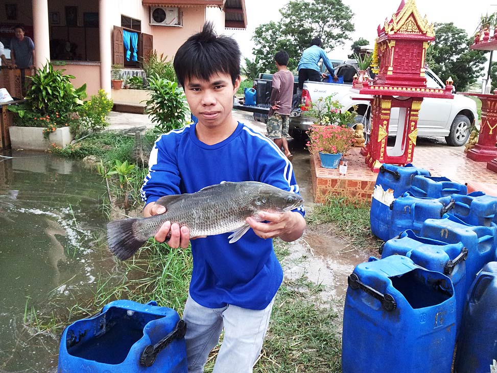 ไปดูเค้าลงปลาใหม่...ที่ ฟรีสไตล์ฟิชชิ่งปาร์คมา...