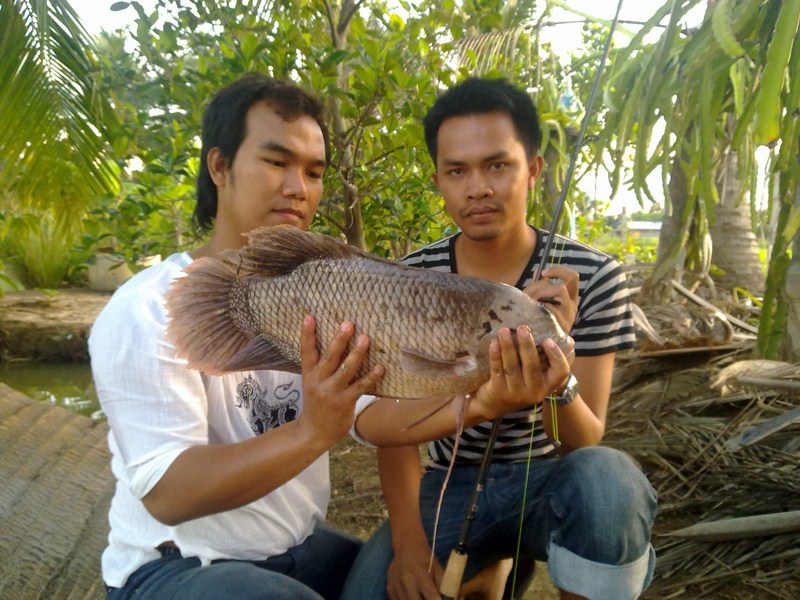 แรด แรด อย่างเดียว