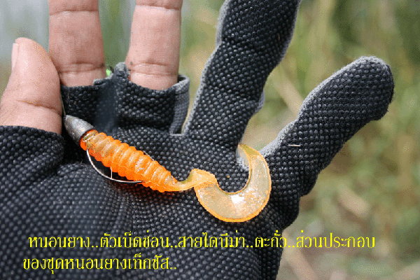 มีคำถามมาถามคับ