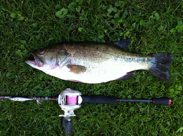 BASS เล็กๆน้อยๆ
