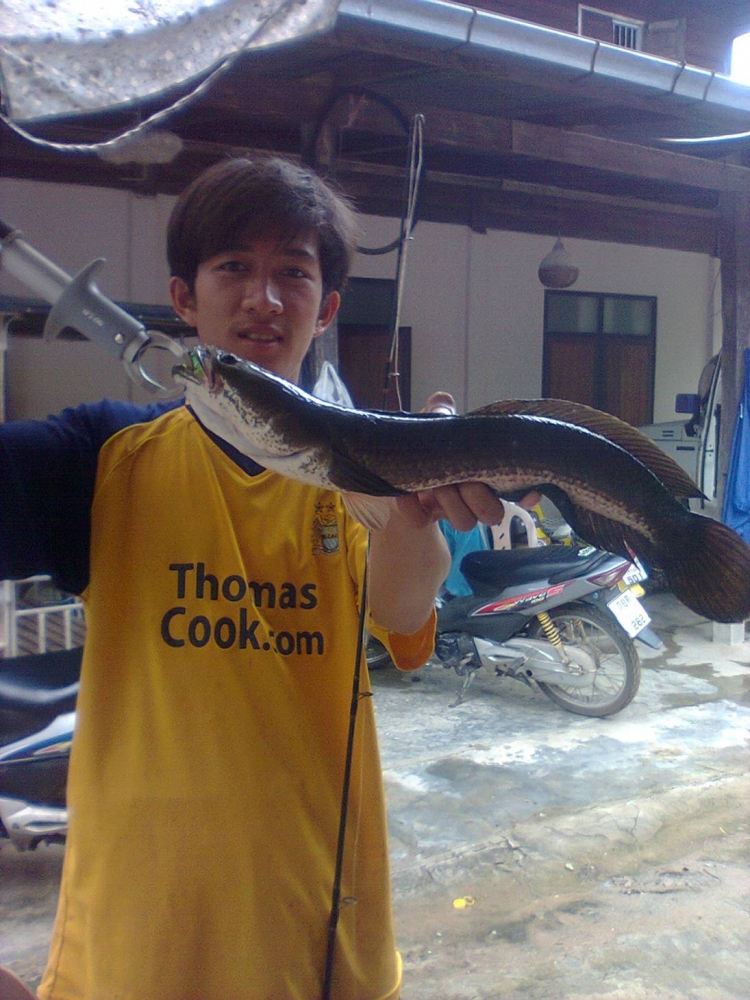 วันที่อากาศไม่เป็นใจ<เจ้าเด็กน้อย>