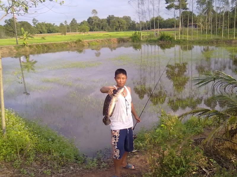 วันน้ำท่วมนาคับ