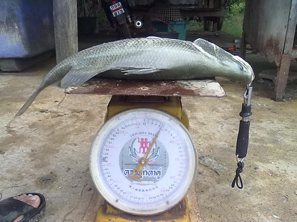 หิวเมื่อไหร่ ก็ถามหา