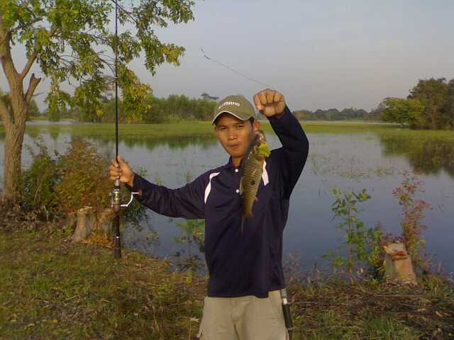 พอแก้ขัดหน้าน้ำท่วม