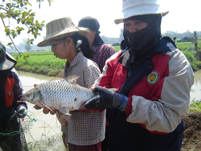 เป็นที่..หนุกหนาน..กันไปเลยครับ อาทิตย์นี้