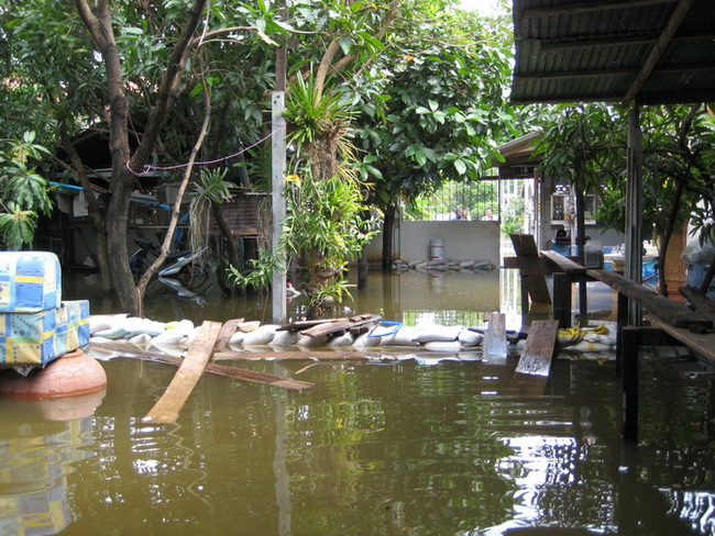น้ำท่วม ที่บางกรวย 