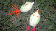 ขนมเหนียว ปลาช่อน