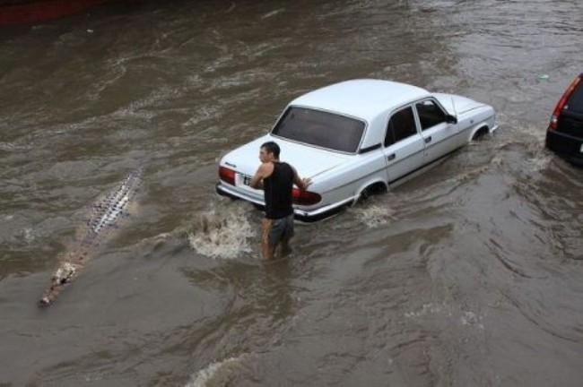 ช่วงนี้น้ำท่วมสูงให้ระวังกันหน่อยนะครับ