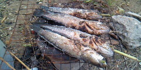 ช่อนบ่อ+ช่อนข้างทาง