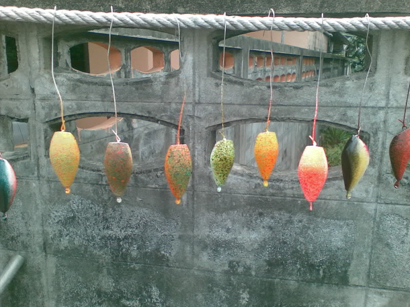 ทดลองส่งกบกระโดด"น้าตูน"