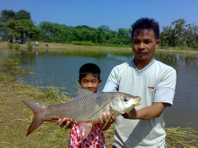 บ่อลุงเอก นครปฐม (ลูกเล็ก)ที่ เปิดใหม่ 