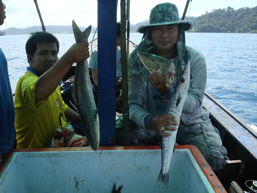 สิงห์ปลาเล็กออกเรือทับละมุ
