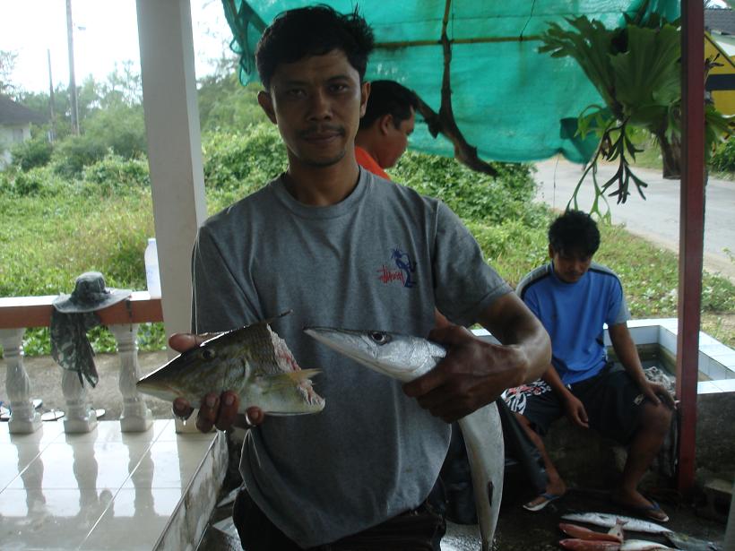 สิงห์ปลาเล็กออกเรือทับละมุ