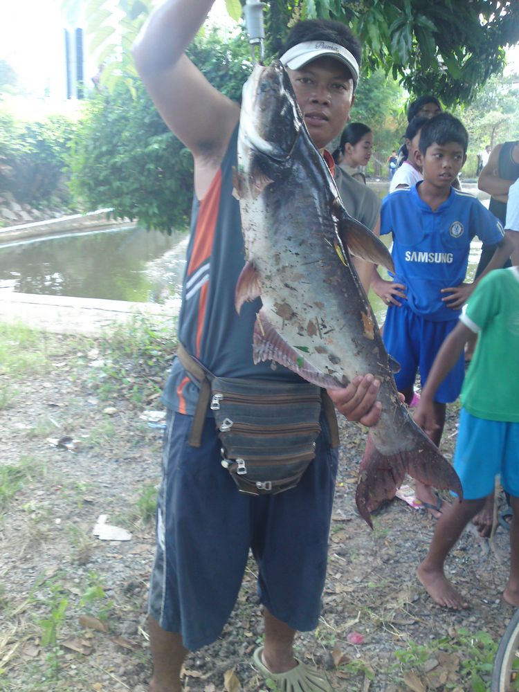 ป.ปลามา กับน้ำ