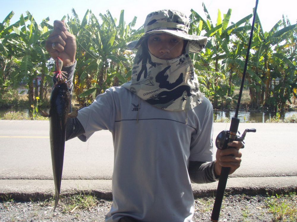 ป.ปลามา กับน้ำ