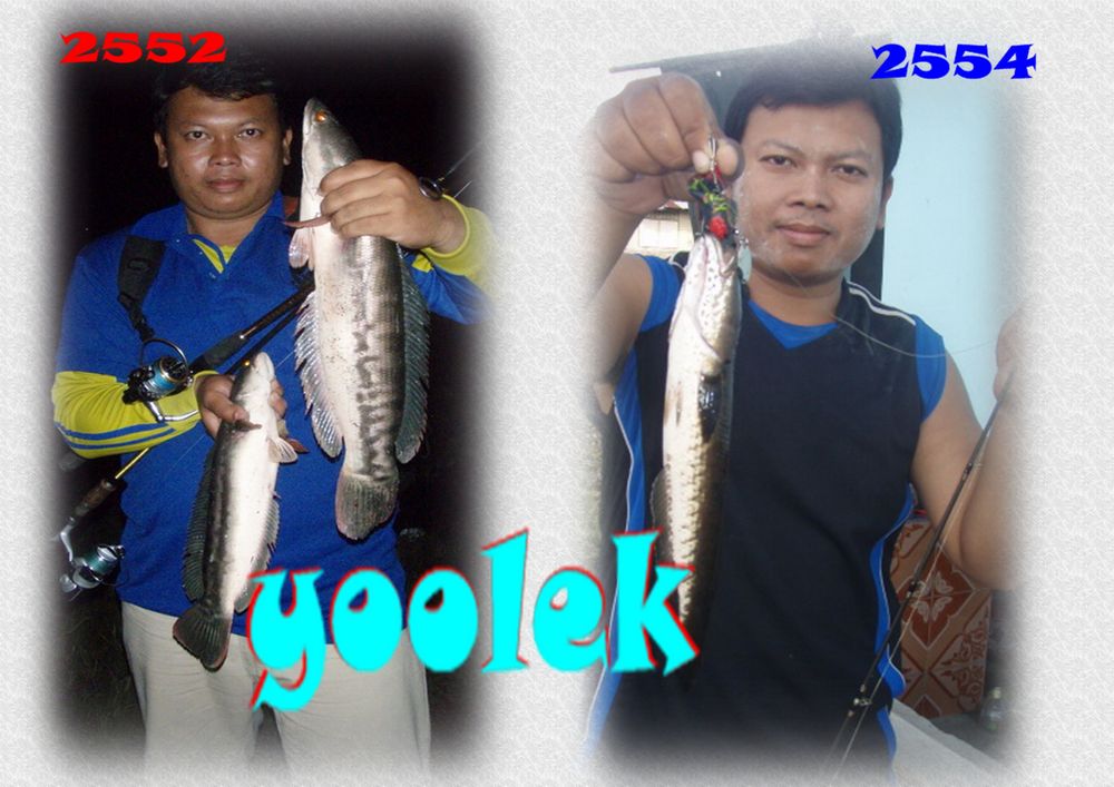ป.ปลามา กับน้ำ
