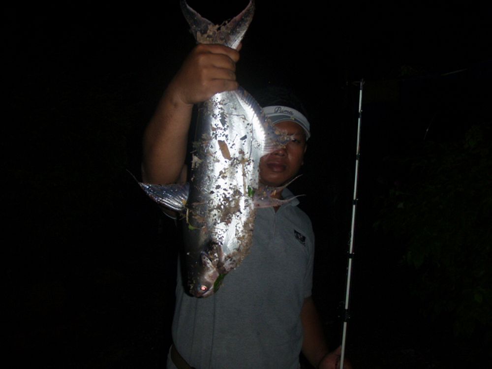 ป.ปลามา กับน้ำ