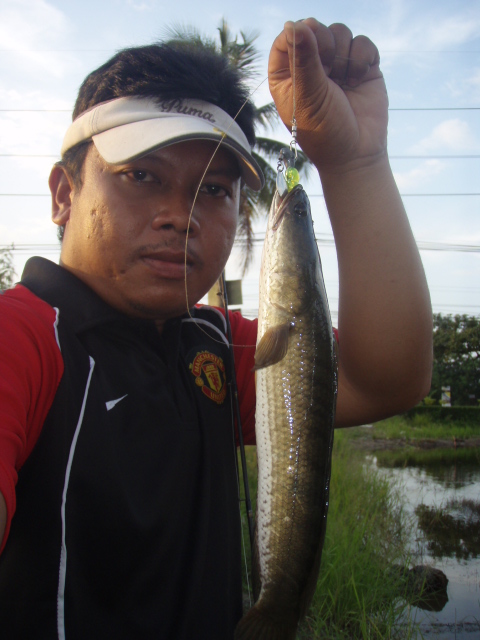 ป.ปลามา กับน้ำ