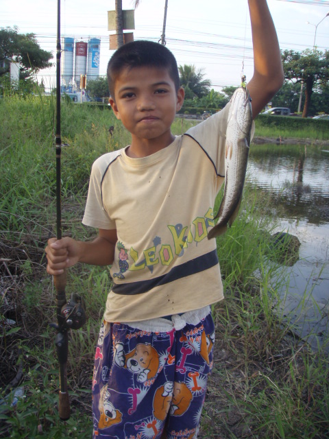 ป.ปลามา กับน้ำ
