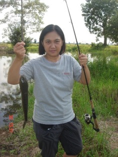 ทดลองส่ง...ครับ