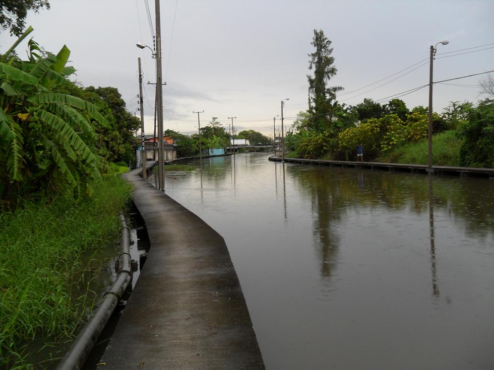 ปลานอกสนามบิน