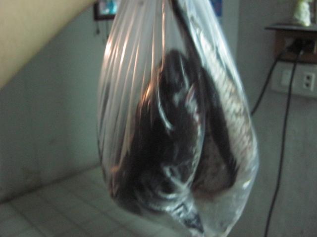 เย็น...เช้า...เย็น