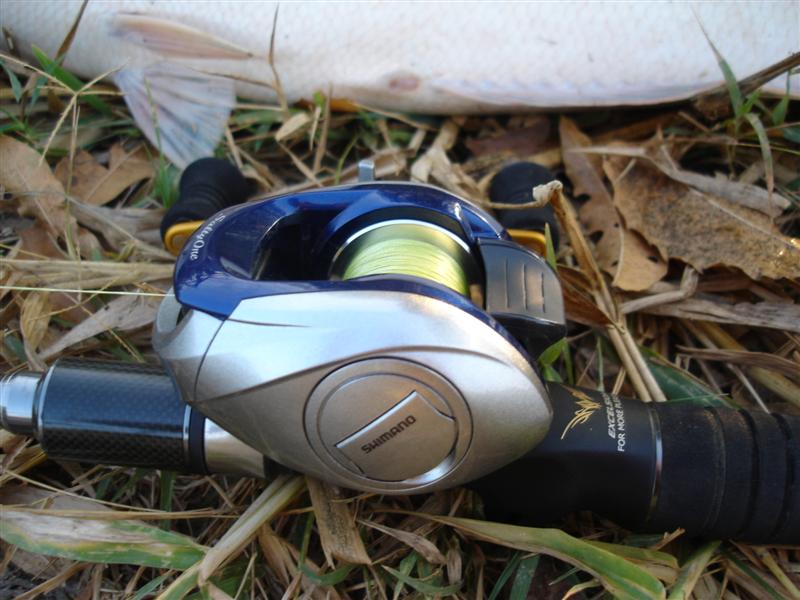 เจิมShimano Salty One